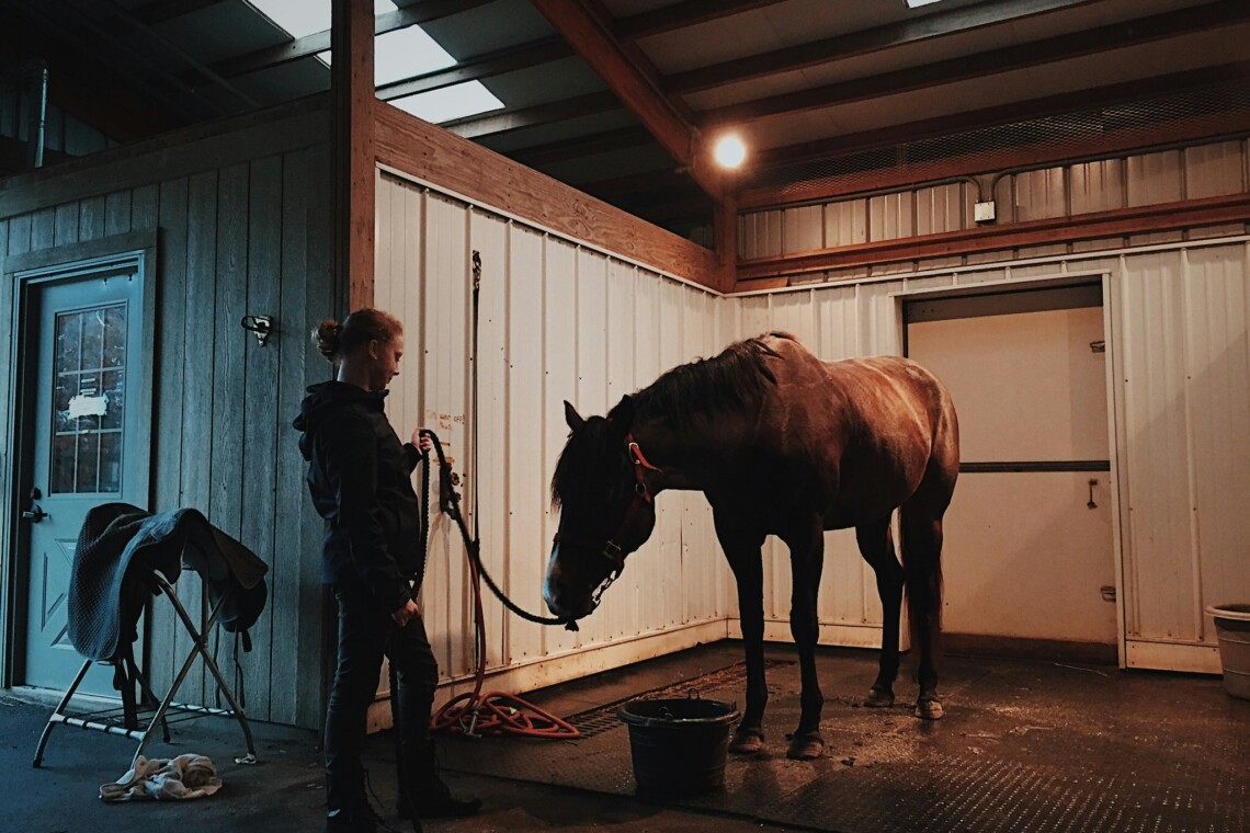 Pferd und Reiterin im Stall